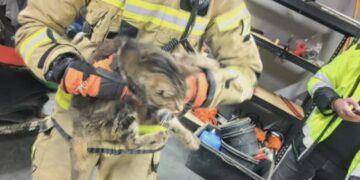 foto:KMPSP w Gorzowie