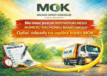 grafika: MOK Gorzow Wlkp.