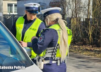 Prowadząc, skup się na drodze! – apeluje policja
