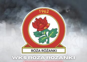 Róża z nowymi kolcami