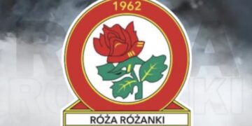 Róża z nowymi kolcami