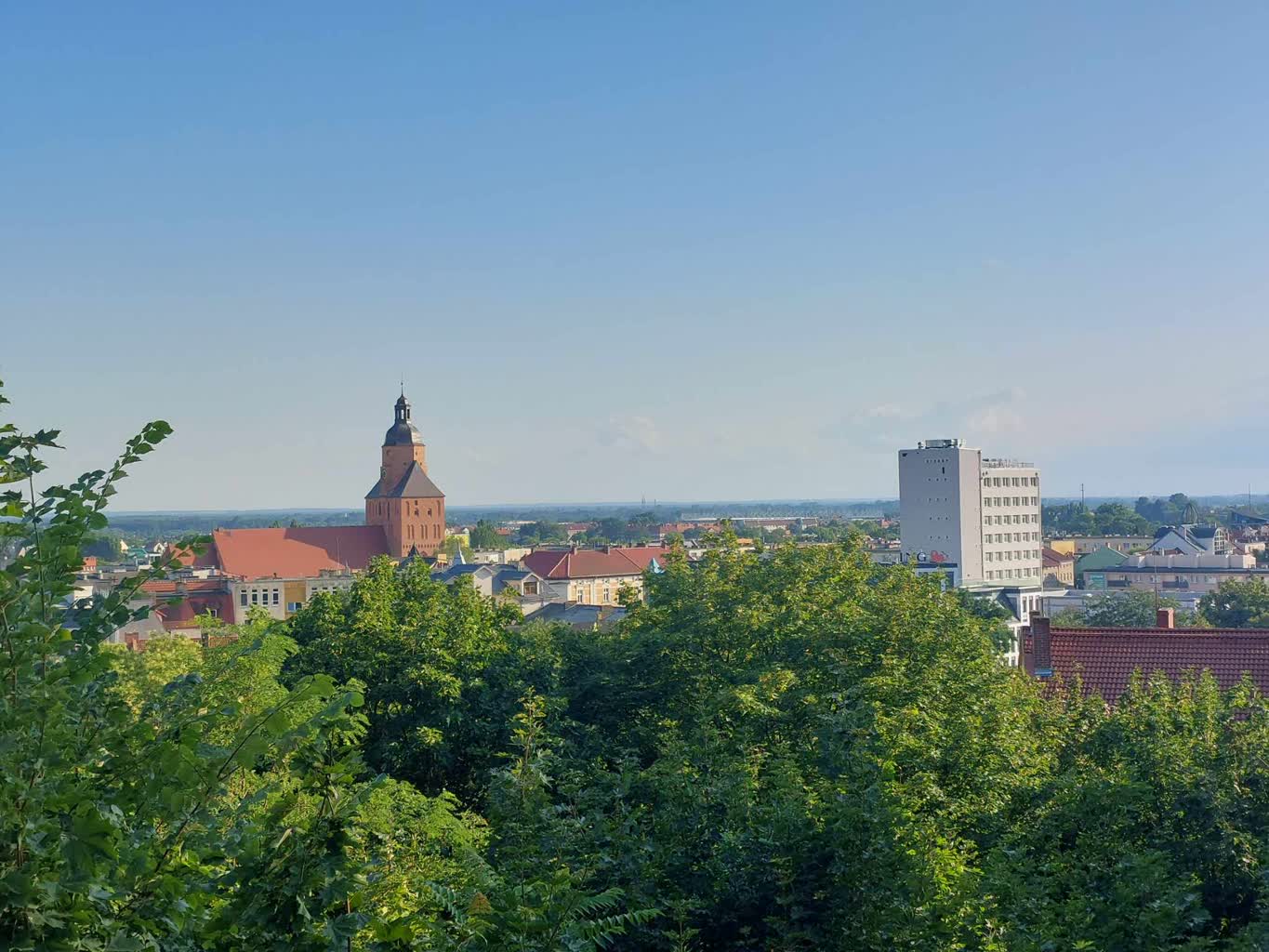 Co z tym miastem? Prezydent komentuje raport dotyczący młodych w Gorzowie
