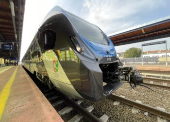 fot. T. Krawczyk/Radio Gorzów