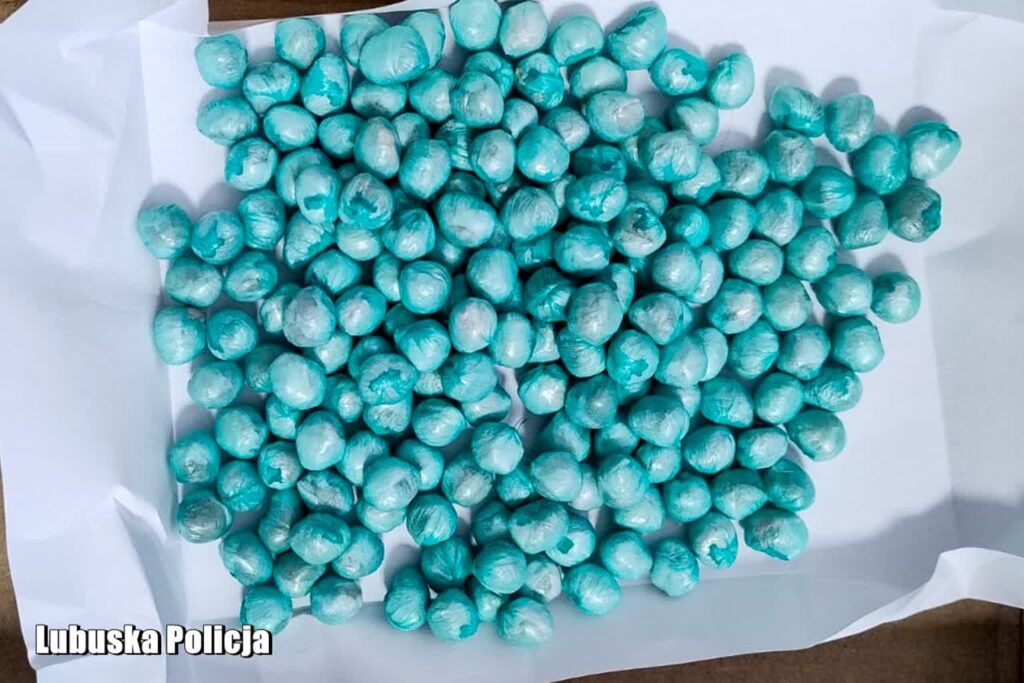 fot. Lubuska Policja