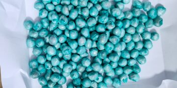 fot. Lubuska Policja