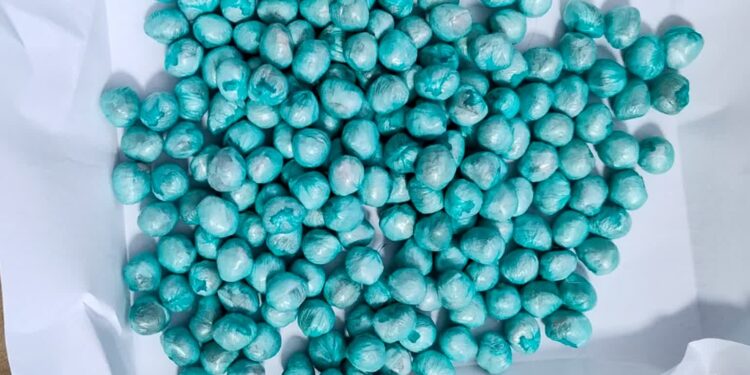 fot. Lubuska Policja