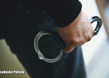 Strzelał do obcokrajowców. Grozi mu do 10 lat więzienia