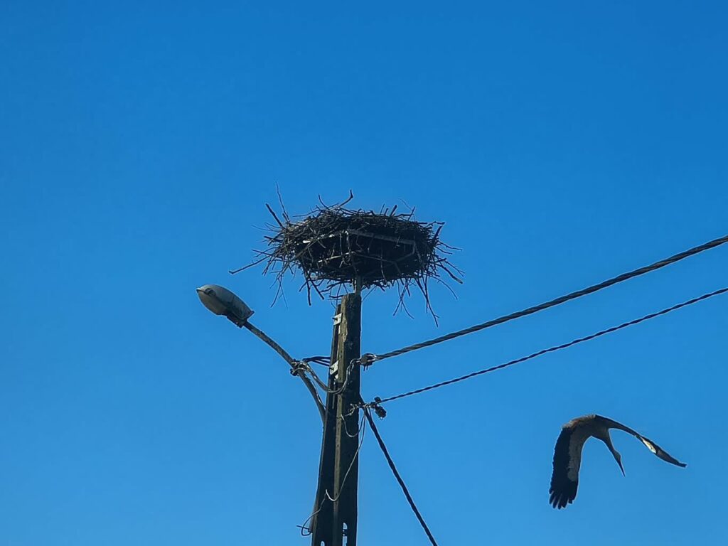 fot. E. Kobelak/Radio Gorzów