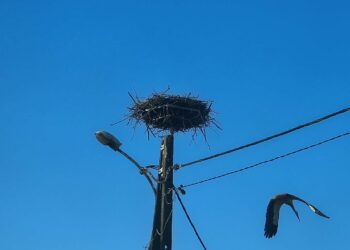 fot. E. Kobelak/Radio Gorzów
