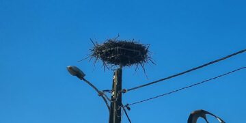 fot. E. Kobelak/Radio Gorzów