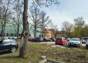 Uczniowie CEZiB dostaną boiska