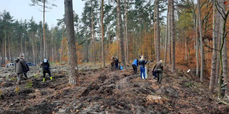 Justyna Budzan UMiG w Witnicy / www.facebook.com