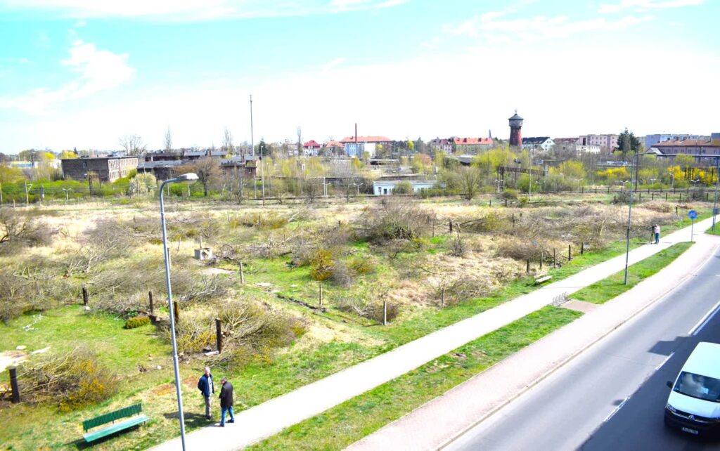 Fot. UM Kostrzyn nad Odrą