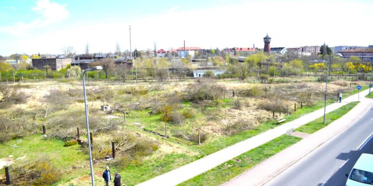 Fot. UM Kostrzyn nad Odrą