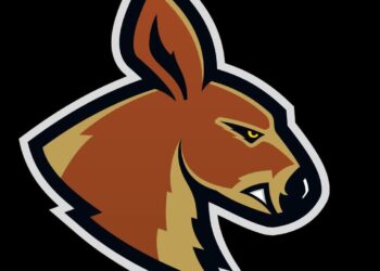 Kangoo rozpoczynają walkę w play off