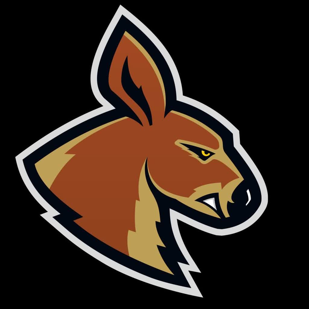 Kangoo rozpoczynają walkę w play off