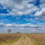 fot. Ł. Kulczyński