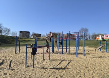 Wiosenna forma na Górczynie. Wspólne treningi w plenerze