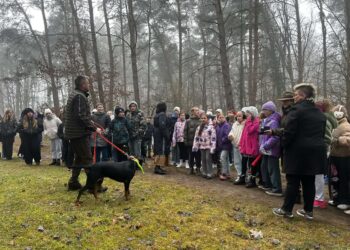 Ulim z nową atrakcją: powstała leśna ścieżka edukacyjna