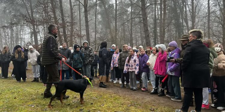 Ulim z nową atrakcją: powstała leśna ścieżka edukacyjna