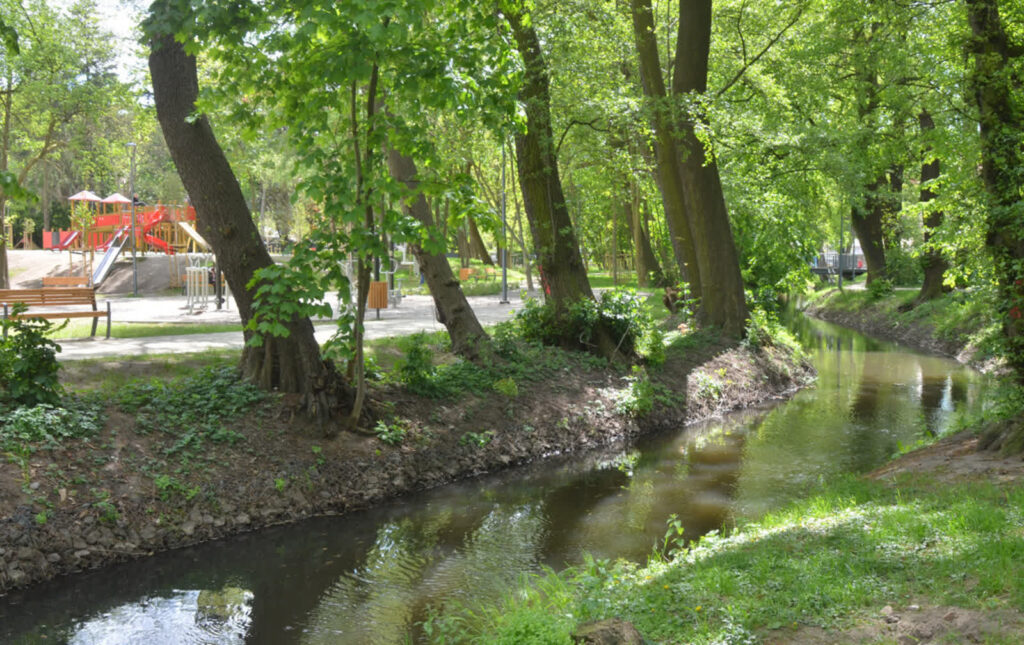 Fot. Bartłomiej Nowosielski