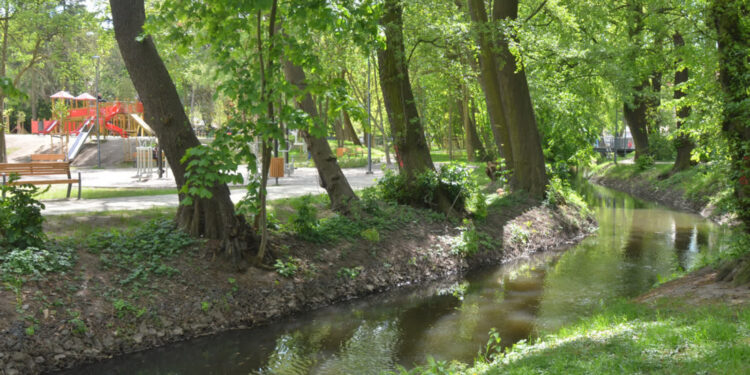 Fot. Bartłomiej Nowosielski