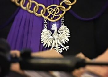 Matka oskarżona o ciężkie zaniedbanie wobec 10-miesięcznego syna
