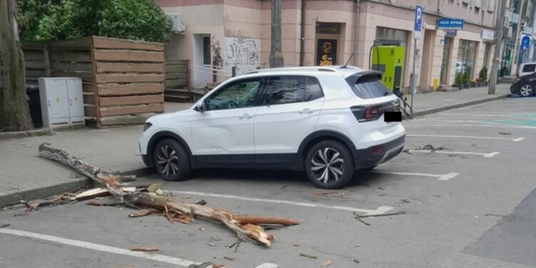 fot. PSP Gorzów