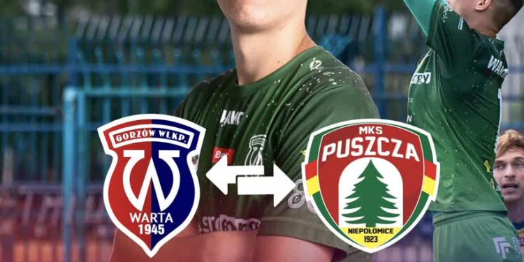 fb Warta Gorzów