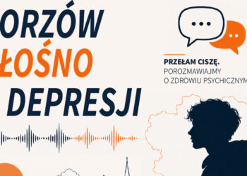 grafika: Młodzieżowa Rada Miasta Gorzowa