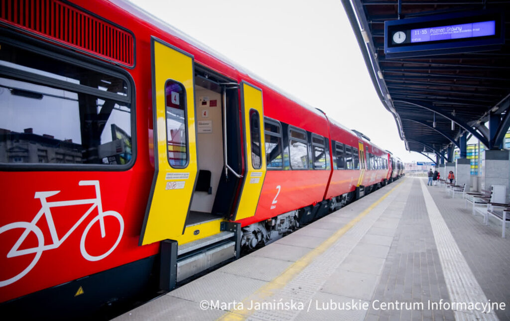 fot. Marta Jamińska/LCI