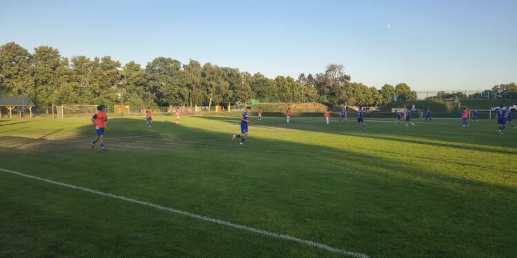 Stilon rozpoczął testowanie
