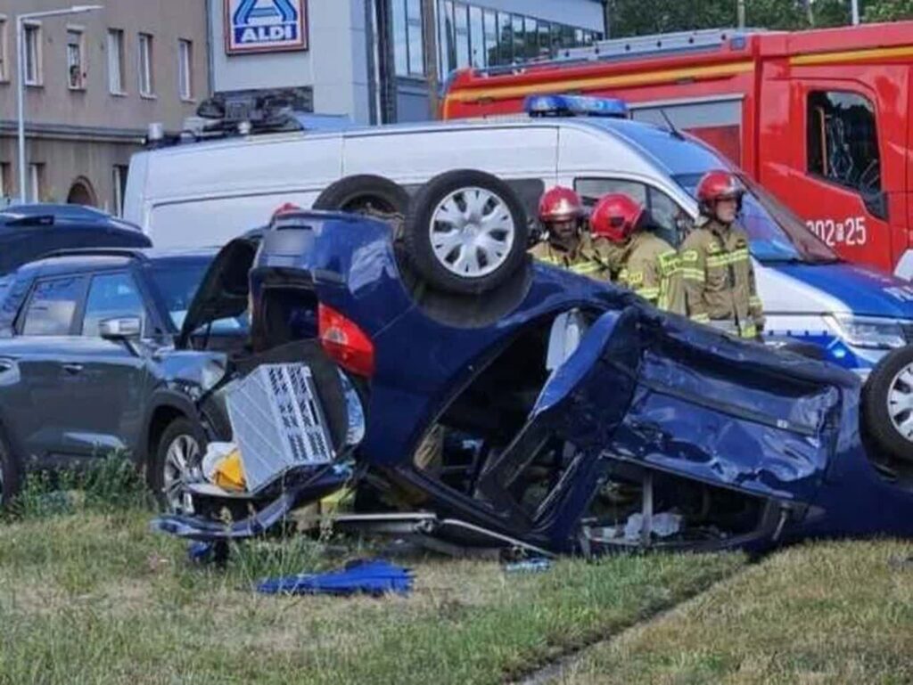 fot.facebook.com/Anaconda Fundacja Obrony Praw Zwierząt