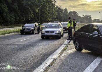 Akcja trzeźwości na gorzowskich ulicach. Jedna osoba straciła prawo jazdy