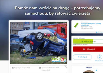 Fundacja Anaconda potrzebuje pomocy, by wrócić na drogę