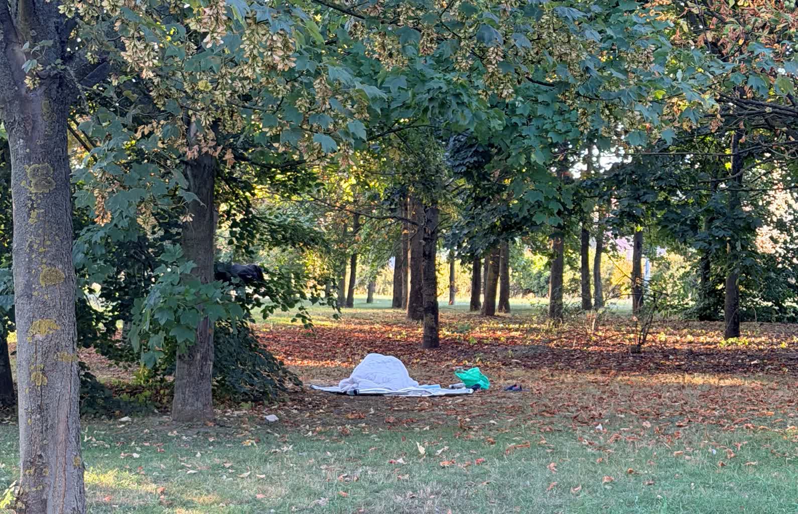 Mieszkaniec informuje o problemie w parku Górczyńskim