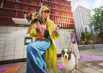 Program lojalnościowy InPost – zbieraj punkty i odbieraj nagrody