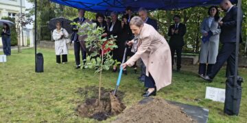 Dęby na jubileusz 10-lecia gorzowskiej akademii