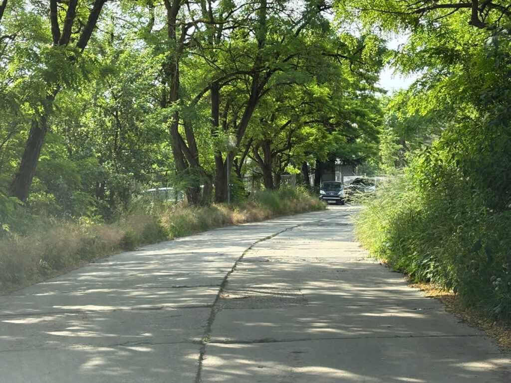 fot. Gorzowskie Inwestycje Miejskie