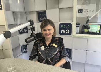 Anna Kobyłka, Hospicjum św. Kamila w Gorzowie