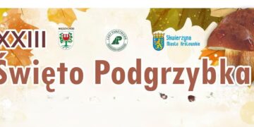 Święto Podgrzybka. W sobotę grzybowe świętowanie