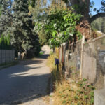 fot. Gorzowskie Inwestycje Miejskie