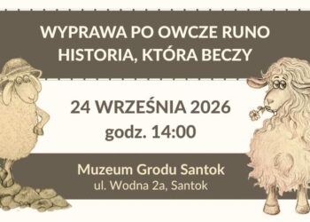 Owce bohaterkami nowej wystawy. Muzeum Grodu Santok zaprasza na „Wyprawę po owcze runo”
