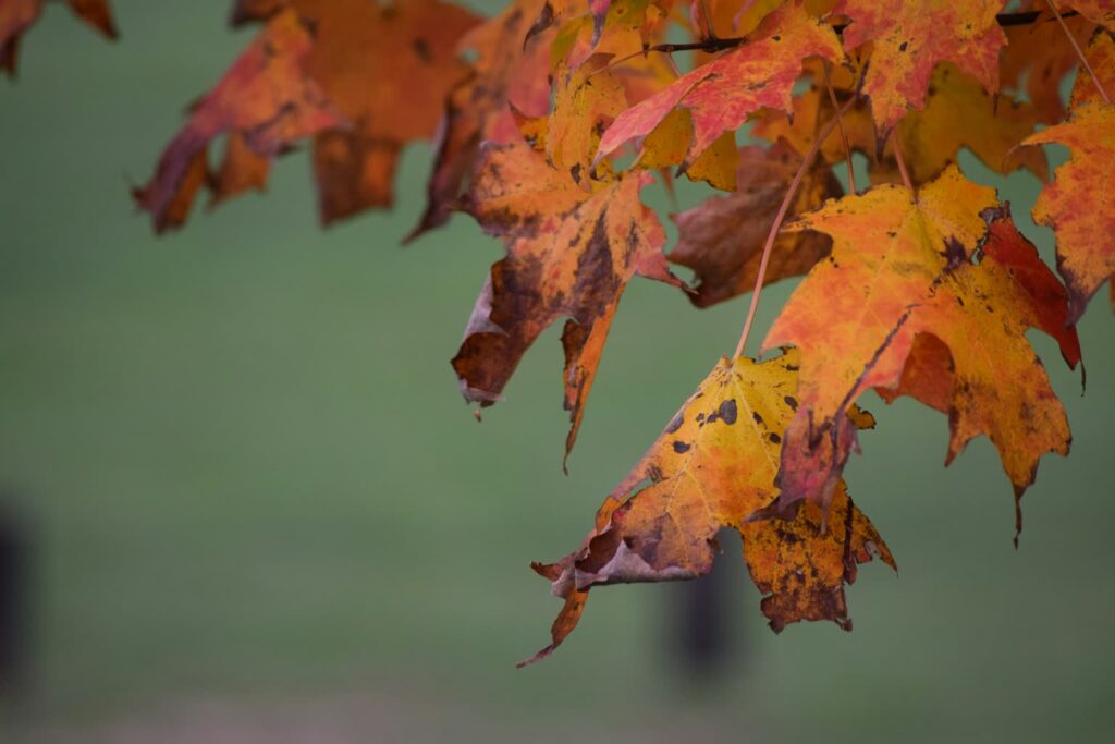 Fot. unsplash.com