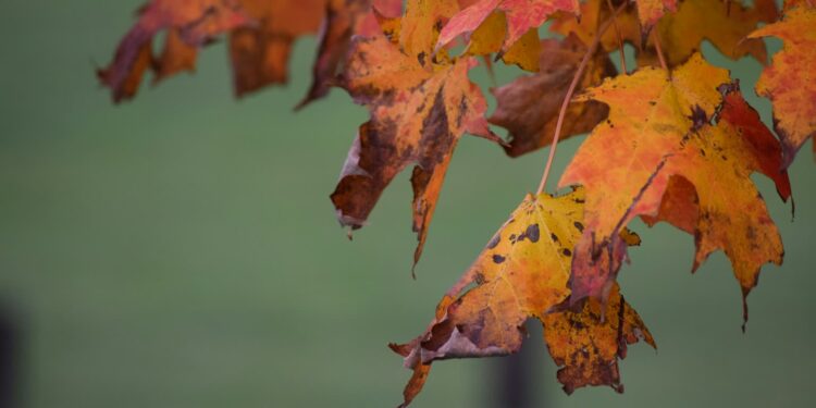 Fot. unsplash.com