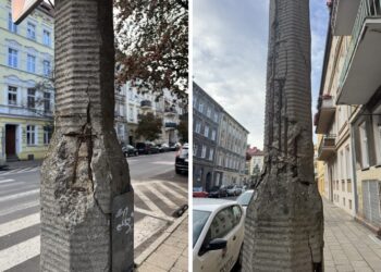 Słupy oświetleniowe mają zostać wymienione